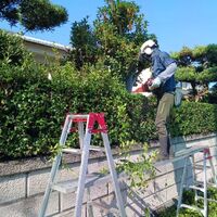 プロが教える木にまつわる豆知識