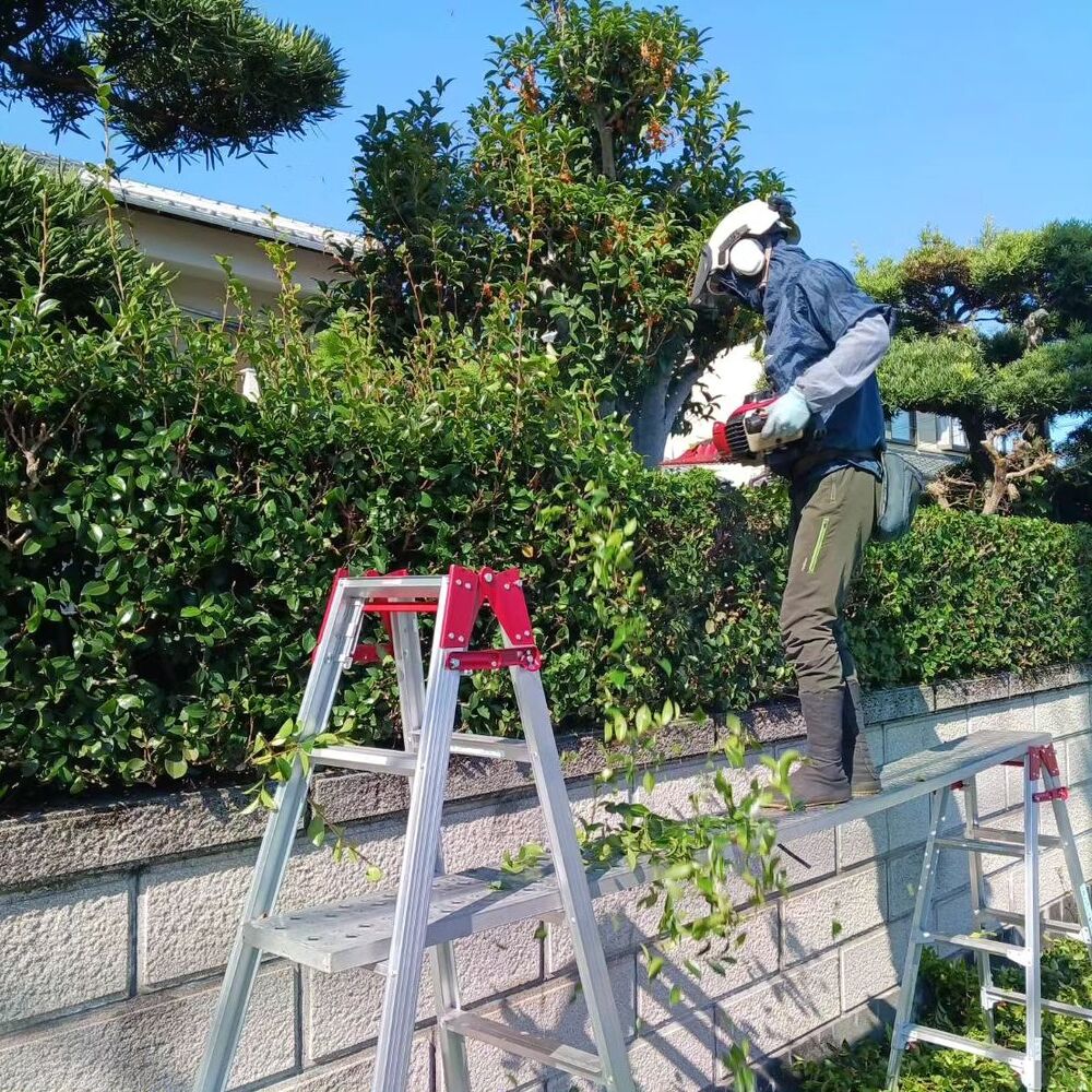 プロが教える木にまつわる豆知識