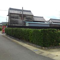 プロが教える木にまつわる豆知識