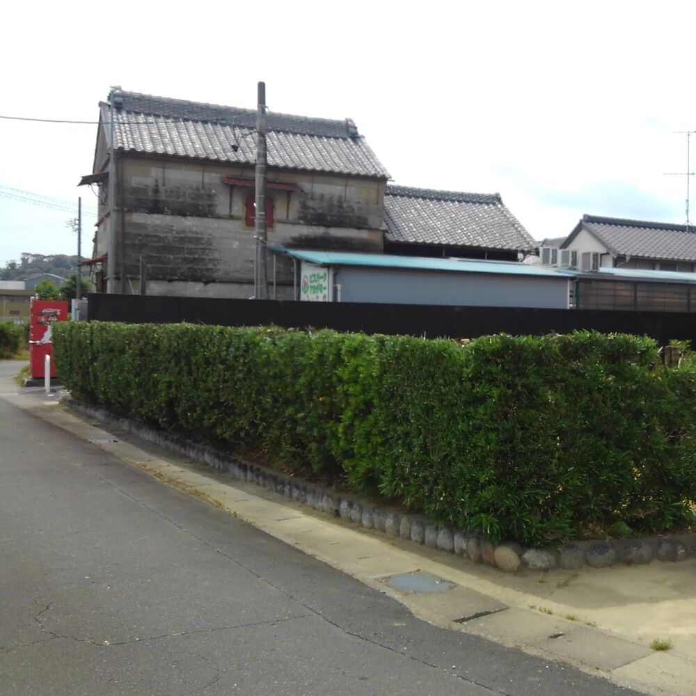 プロが教える木にまつわる豆知識