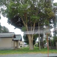 プロが教える木にまつわる豆知識