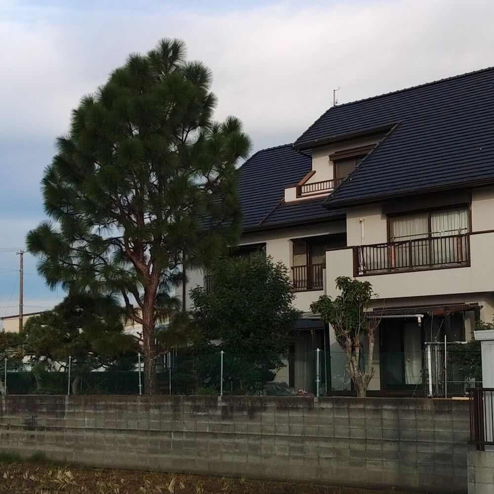 プロが教える木にまつわる豆知識