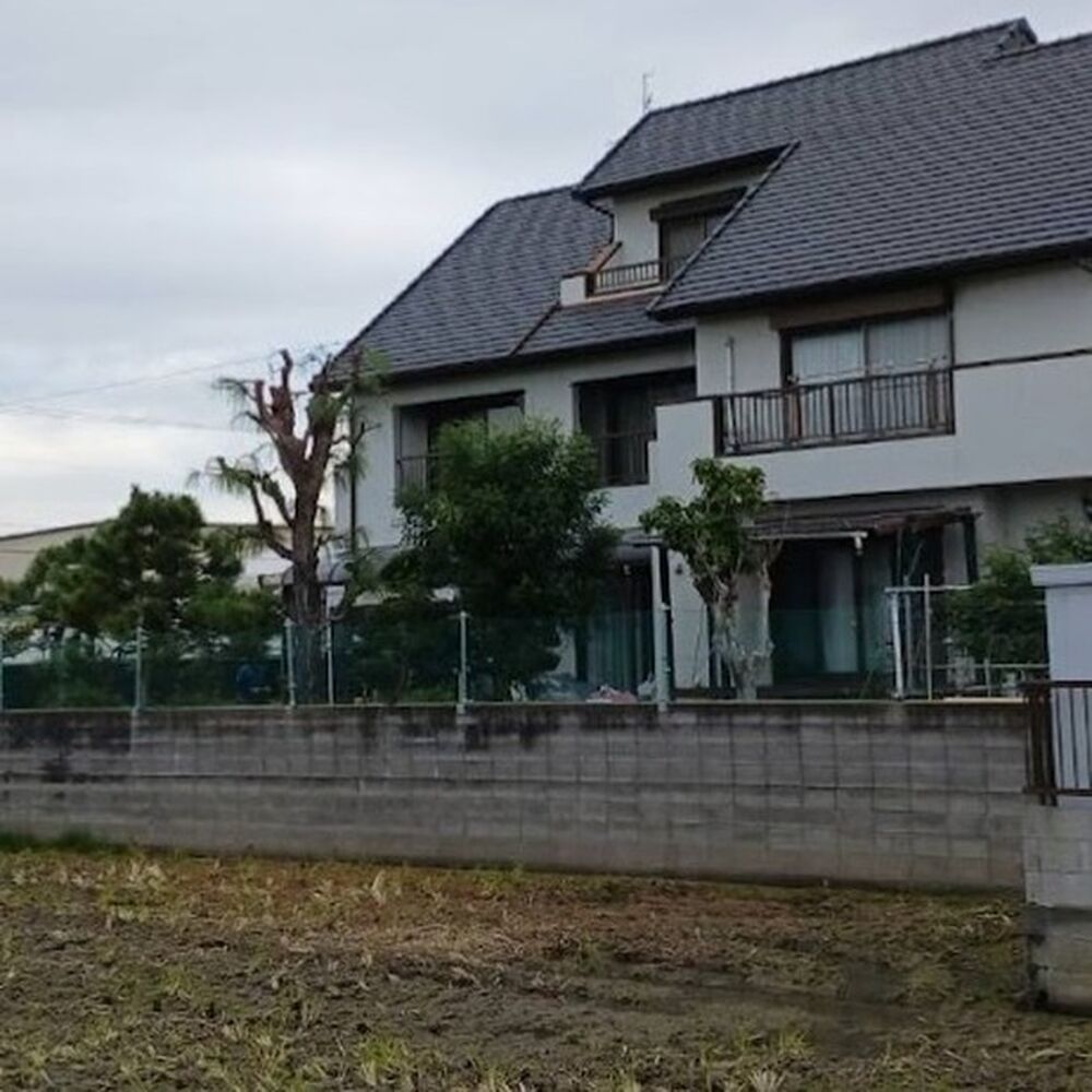 プロが教える木にまつわる豆知識