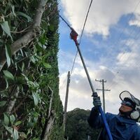 プロが教える木にまつわる豆知識