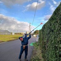 プロが教える木にまつわる豆知識