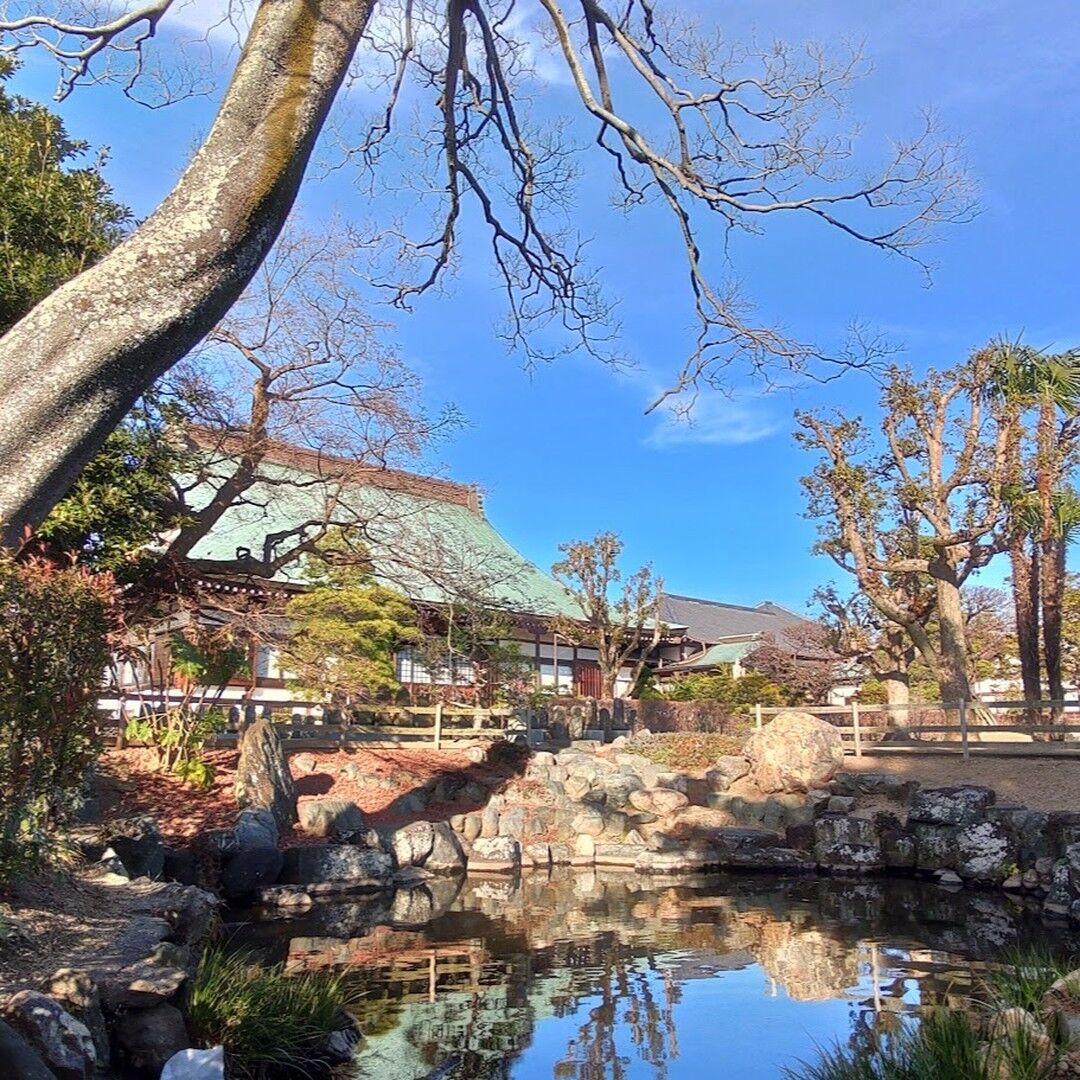 磐田市で特殊伐採見積りのご依頼を受け現地確認に伺いました