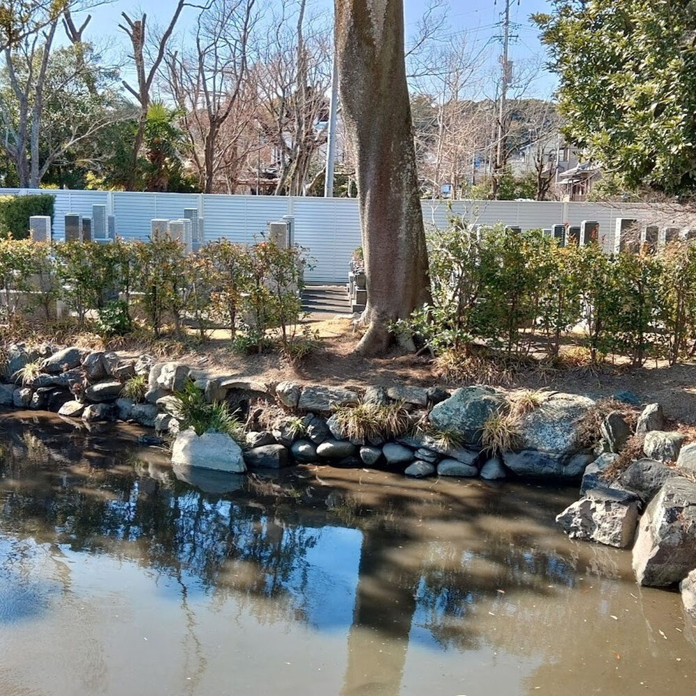 プロが教える木にまつわる豆知識
