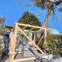 プロが教える木にまつわる豆知識