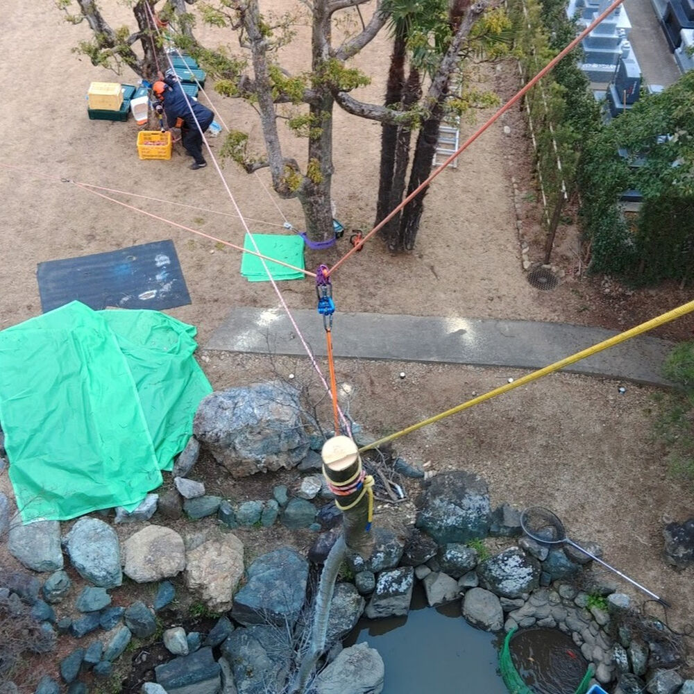 プロが教える木にまつわる豆知識