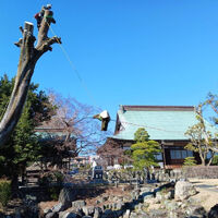 プロが教える木にまつわる豆知識