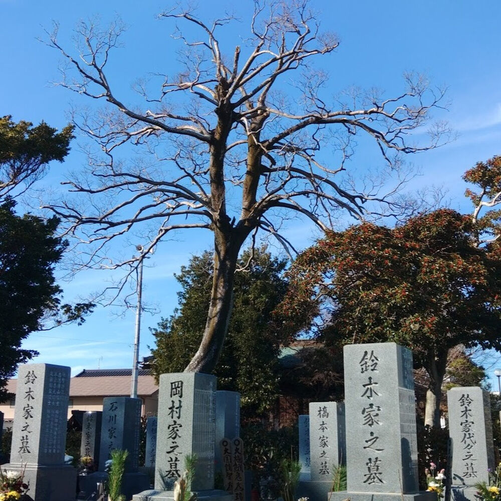 プロが教える木にまつわる豆知識