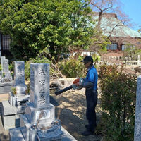 プロが教える木にまつわる豆知識