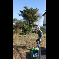 プロが教える木にまつわる豆知識