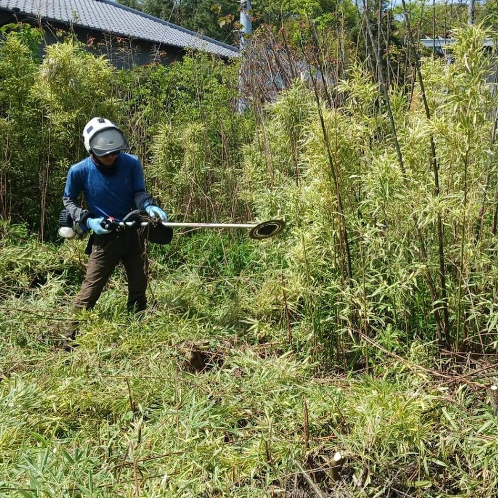 プロが教える木にまつわる豆知識
