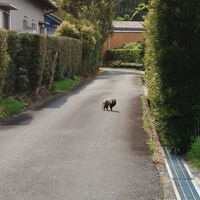 プロが教える木にまつわる豆知識