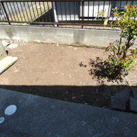 プロが教える木にまつわる豆知識