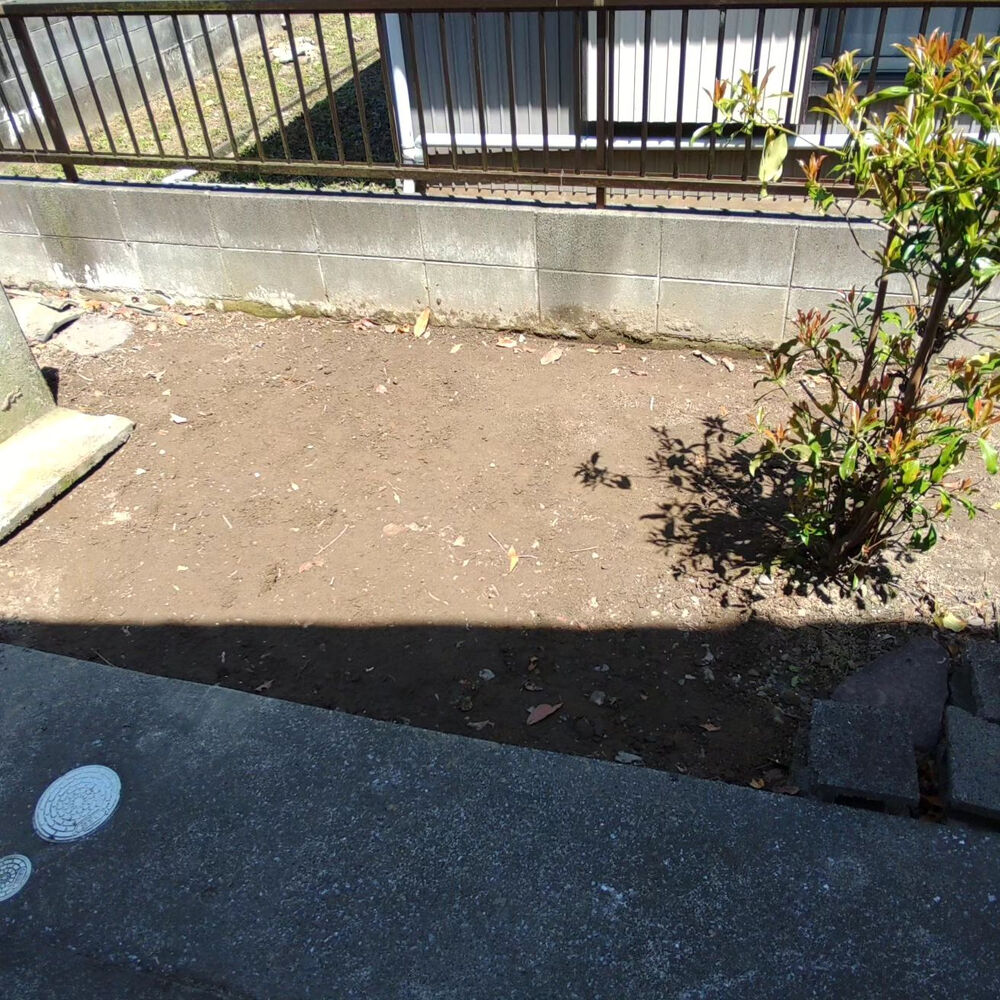 プロが教える木にまつわる豆知識