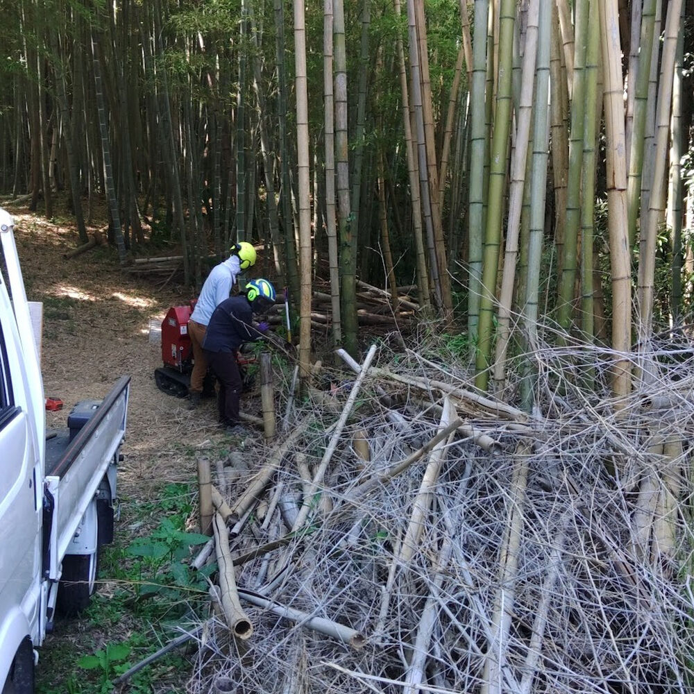 プロが教える木にまつわる豆知識