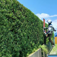 プロが教える木にまつわる豆知識
