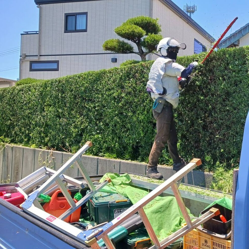 プロが教える木にまつわる豆知識