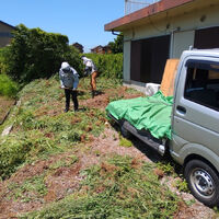 プロが教える木にまつわる豆知識