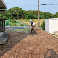 プロが教える木にまつわる豆知識