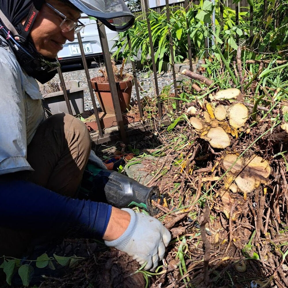 プロが教える木にまつわる豆知識