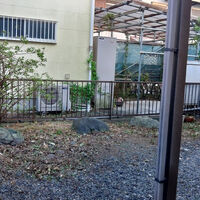 プロが教える木にまつわる豆知識