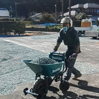 プロが教える木にまつわる豆知識