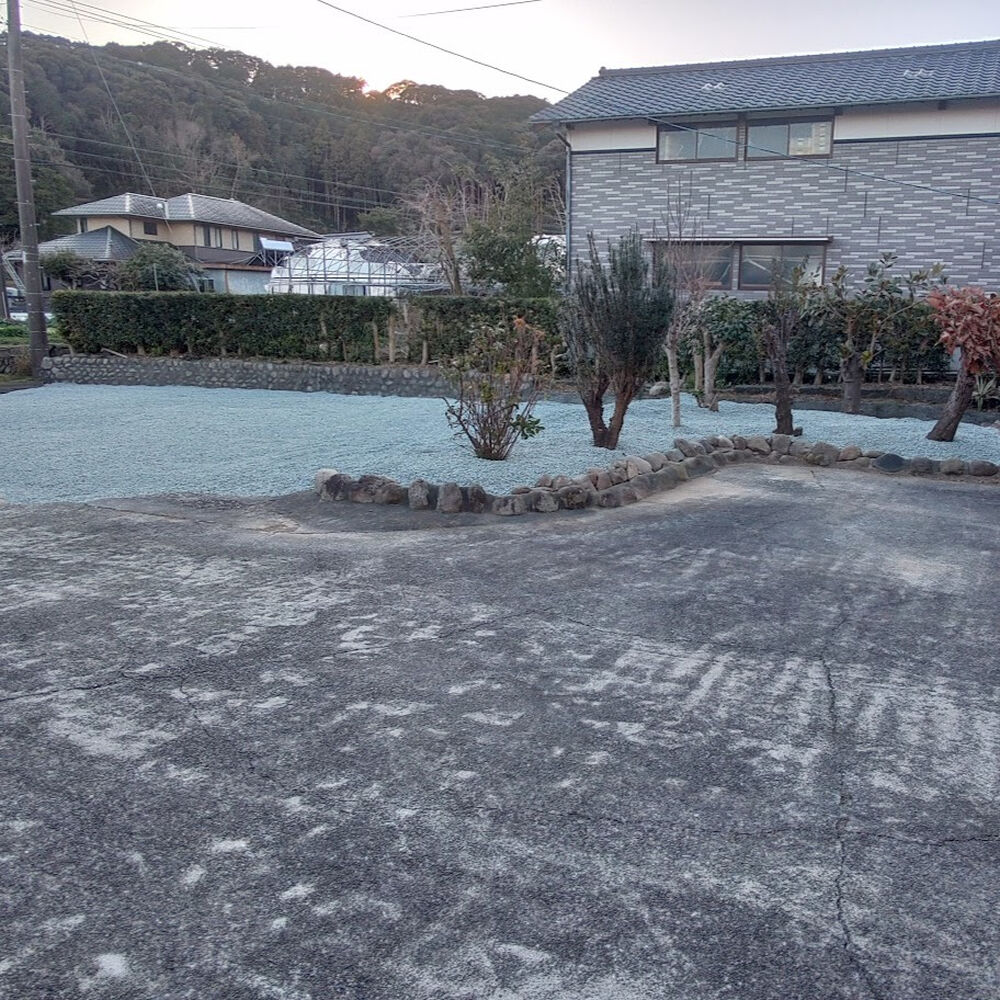 プロが教える木にまつわる豆知識
