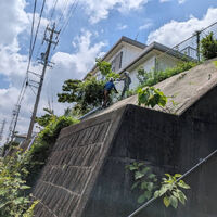プロが教える木にまつわる豆知識