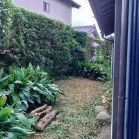 プロが教える木にまつわる豆知識