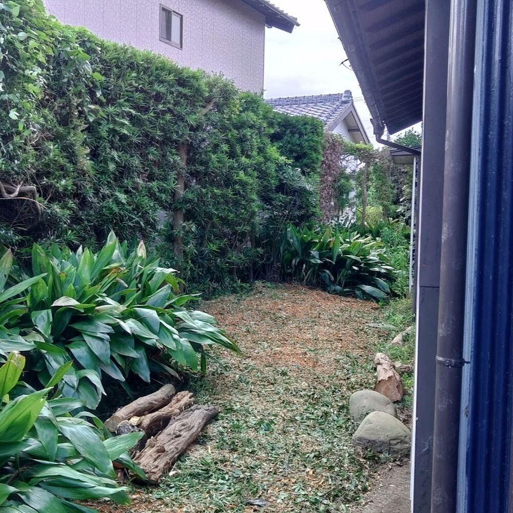 プロが教える木にまつわる豆知識