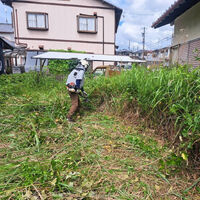 プロが教える木にまつわる豆知識