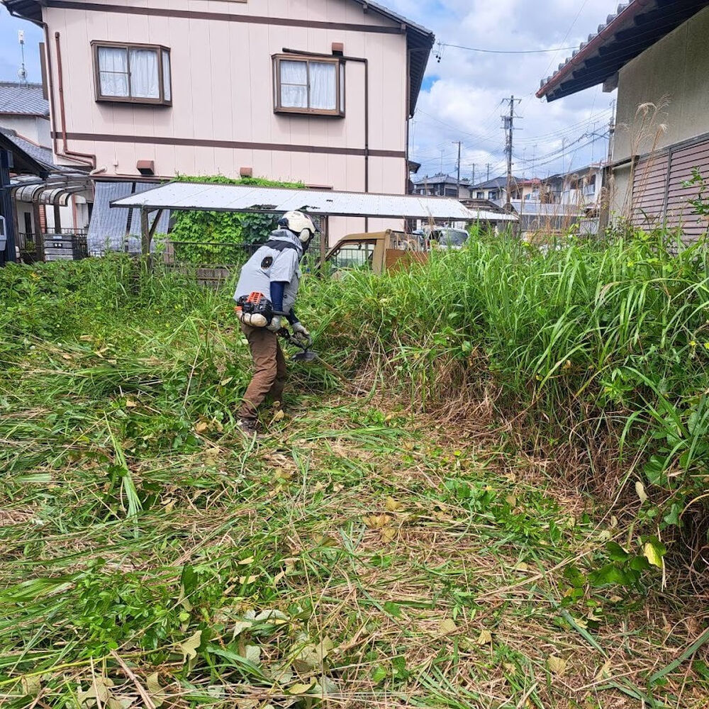 プロが教える木にまつわる豆知識