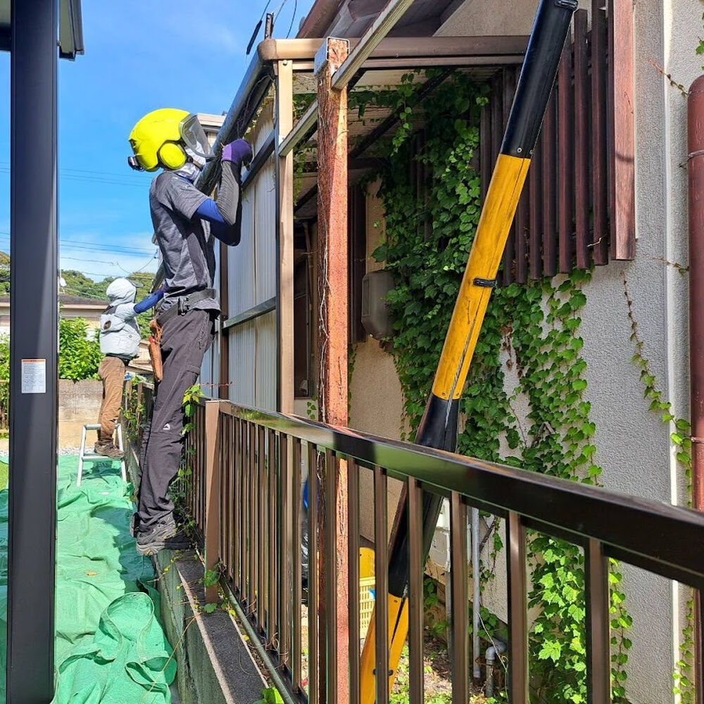 プロが教える木にまつわる豆知識