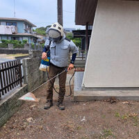 プロが教える木にまつわる豆知識