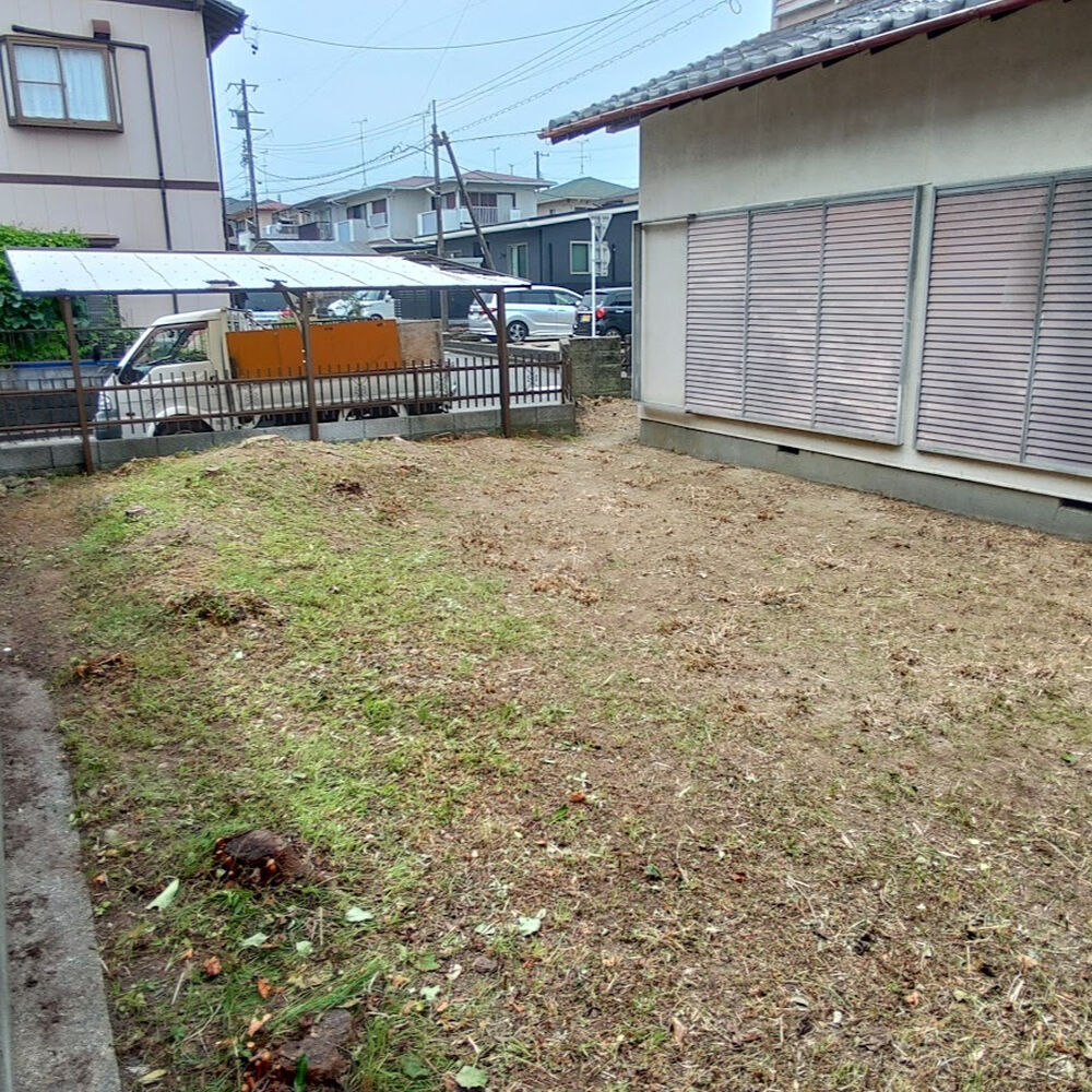 プロが教える木にまつわる豆知識
