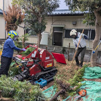 プロが教える木にまつわる豆知識