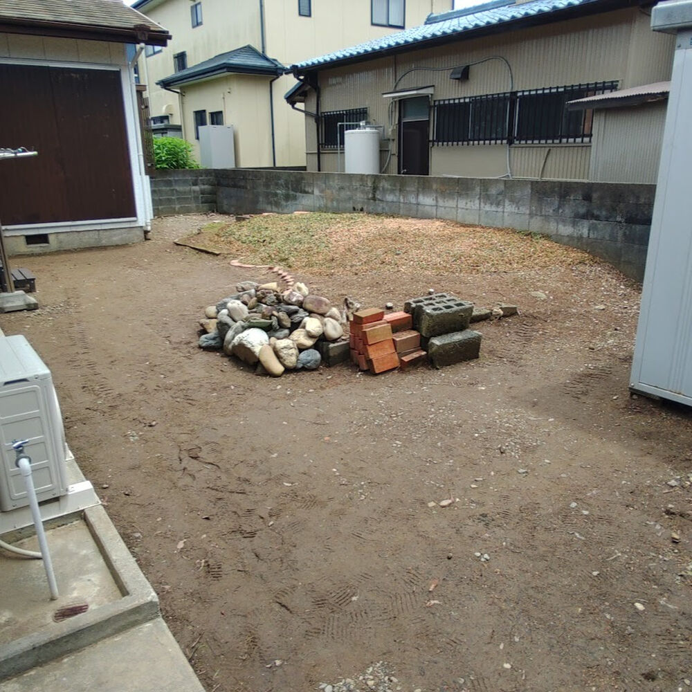 プロが教える木にまつわる豆知識