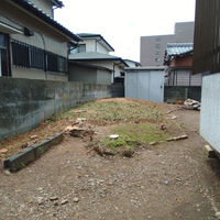 プロが教える木にまつわる豆知識
