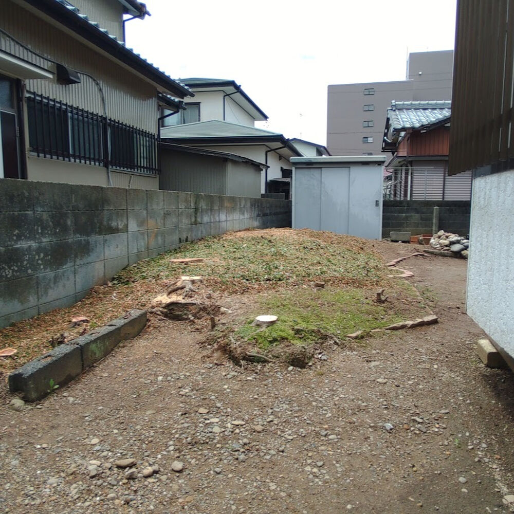 プロが教える木にまつわる豆知識