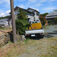 プロが教える木にまつわる豆知識