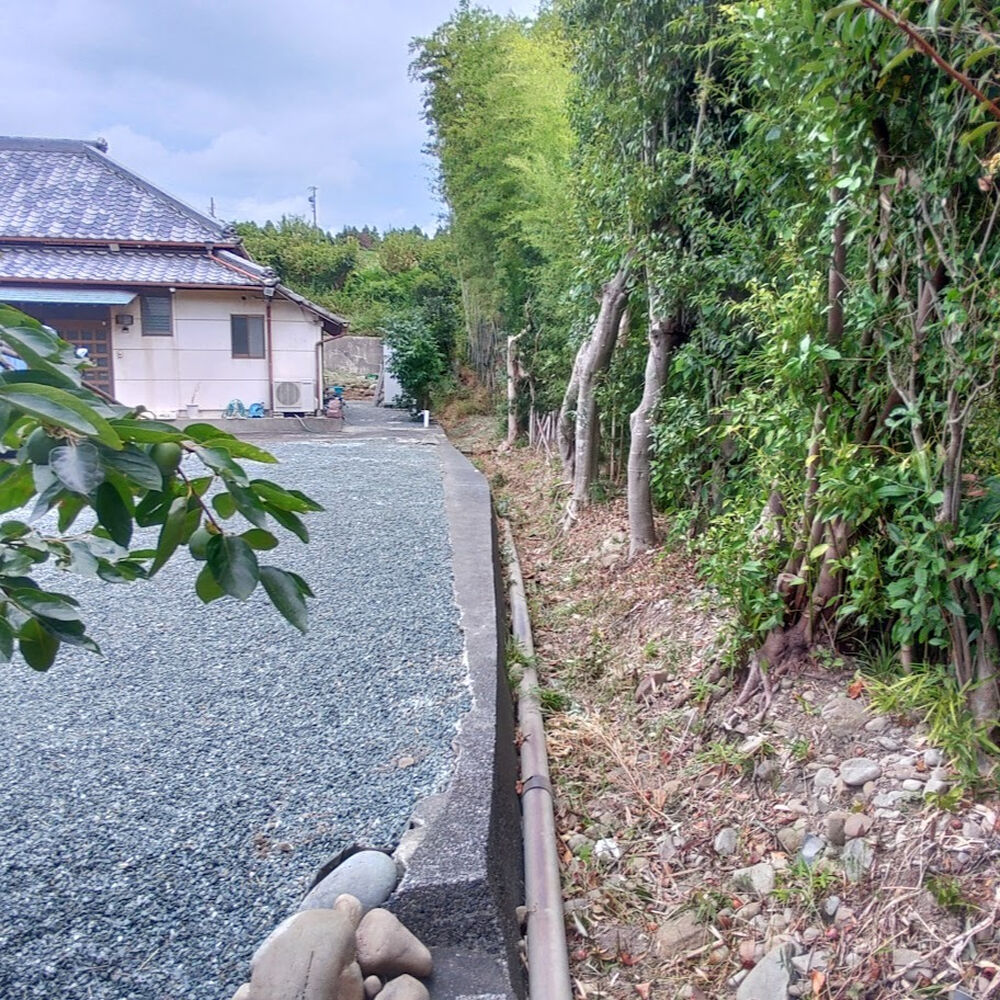 プロが教える木にまつわる豆知識