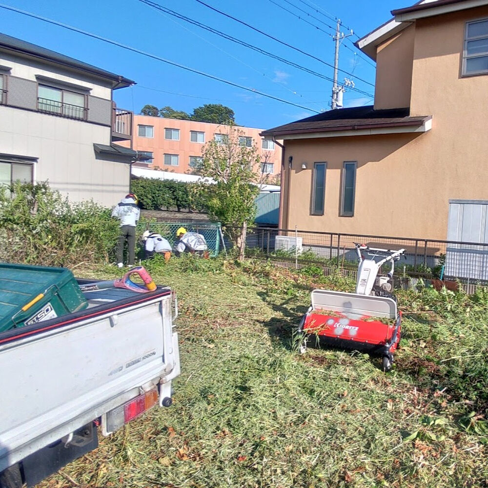 プロが教える木にまつわる豆知識