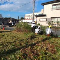 プロが教える木にまつわる豆知識
