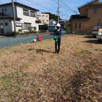 プロが教える木にまつわる豆知識