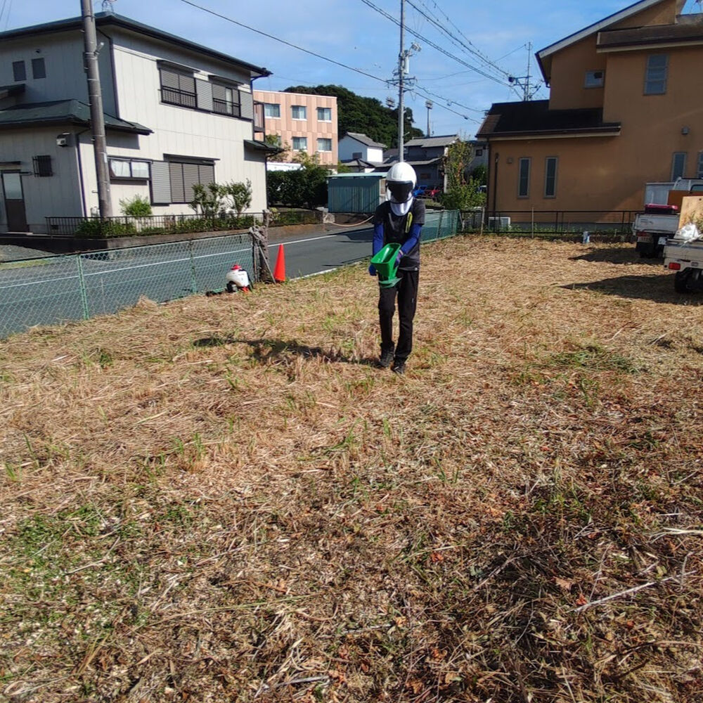 プロが教える木にまつわる豆知識