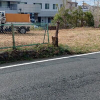 プロが教える木にまつわる豆知識