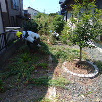 プロが教える木にまつわる豆知識